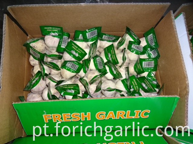 Fresh Garlic Crop 2019